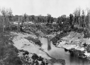 Taueru 1875
